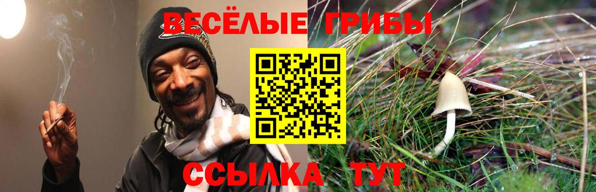 цены   Псилоцибиновые грибы MAGIC MUSHROOMS  Вход с VPN  Псилоцибиновые грибы MAGIC MUSHROOMS  Ликино-Дулёво 